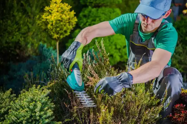 landscaping services Edgerton